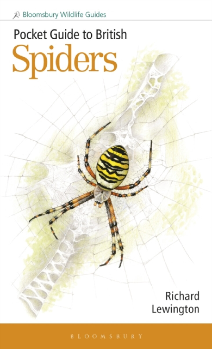 Kniha Pocket Guide to British Spiders