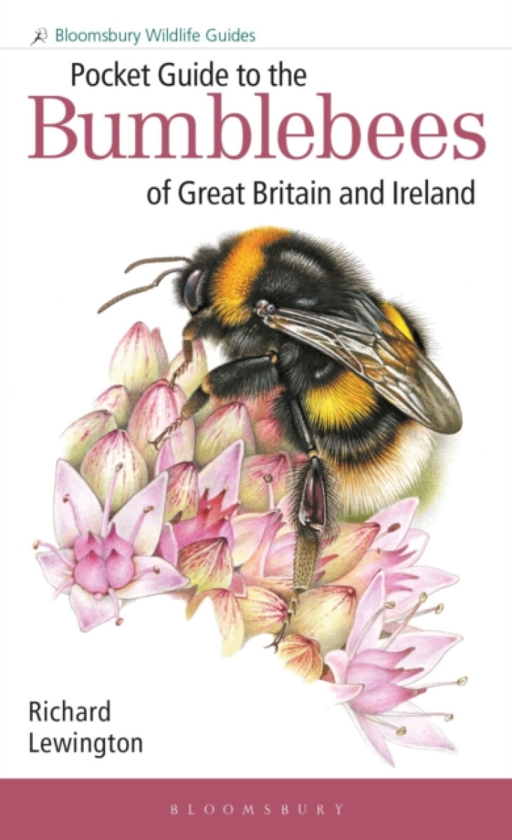 Kniha Pocket Guide to the Bumblebees of Great Britain and Ireland