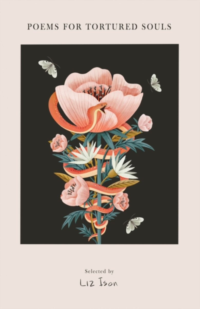 Kniha Poems for Tortured Souls