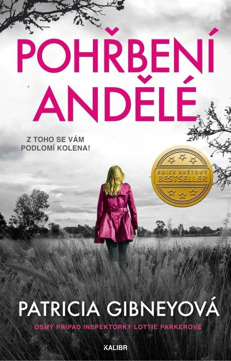 Kniha Pohřbení andělé