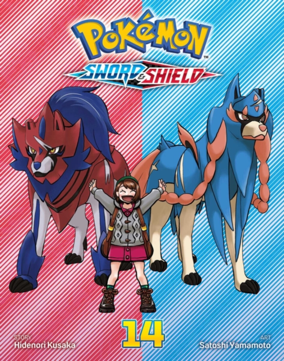 Kniha Pokemon: Sword & Shield, Vol. 14