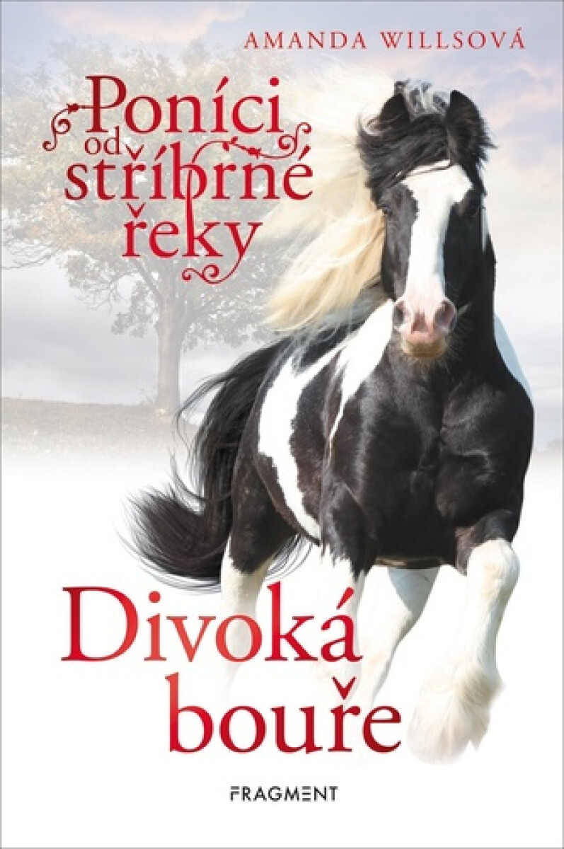 Kniha Poníci od stříbrné řeky – Divoká bouře