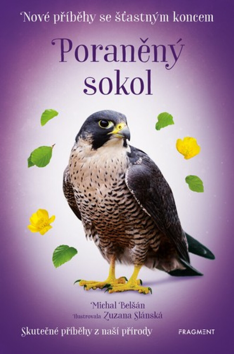 Kniha Nové příběhy se šťastným koncem – Poraněný sokol