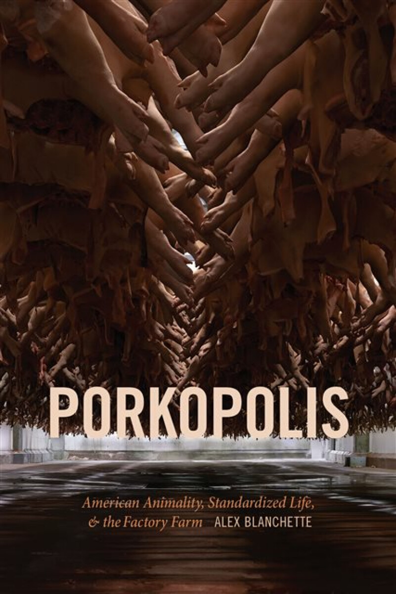 Kniha Porkopolis