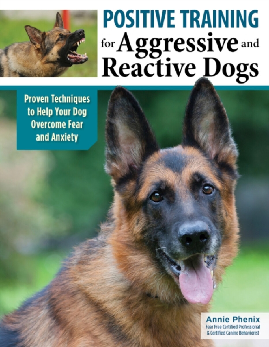 Kniha Positive Training for Aggressive a Reactive Dogs