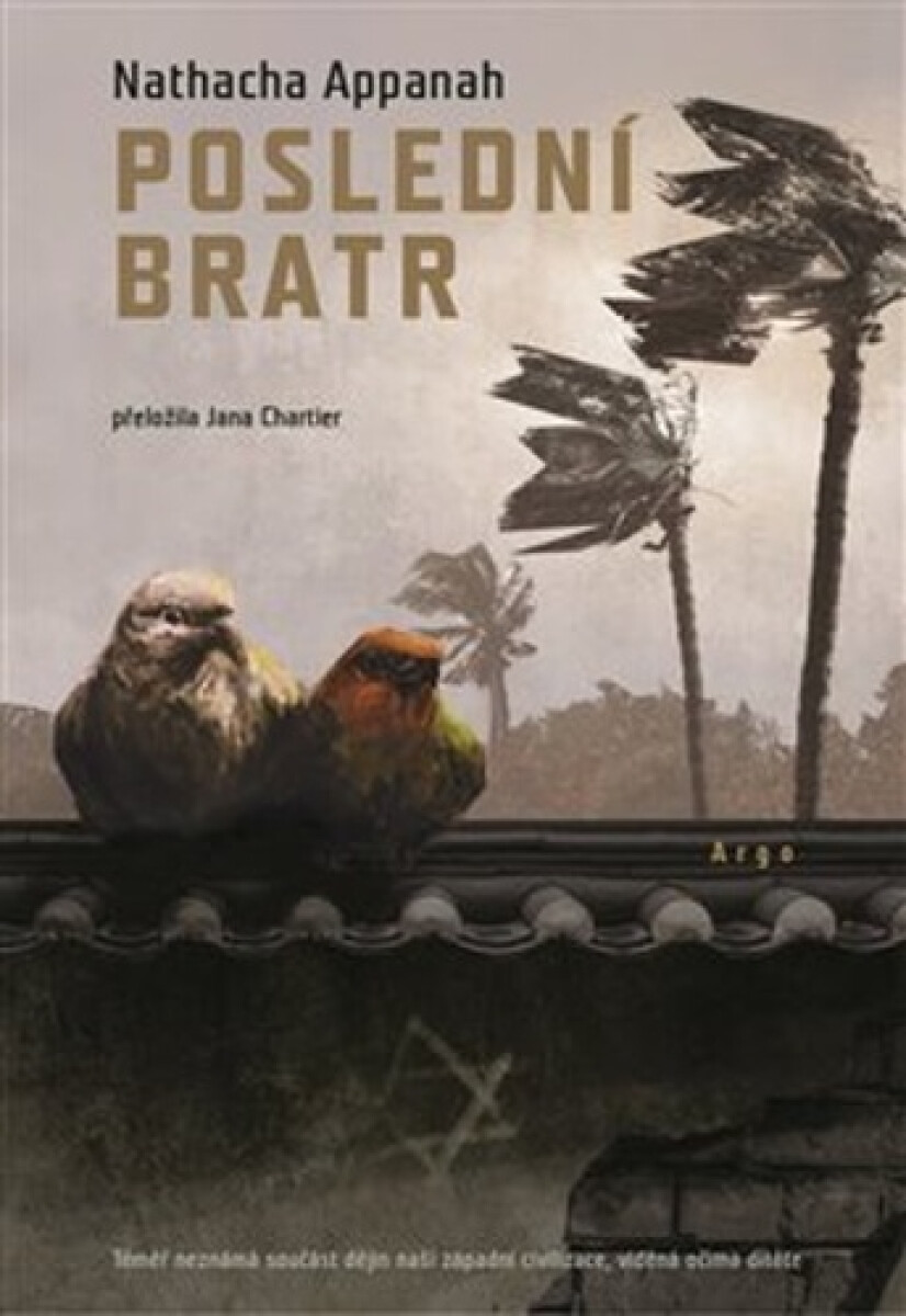Poslední bratr koupíte na Knihydobrovsky.cz