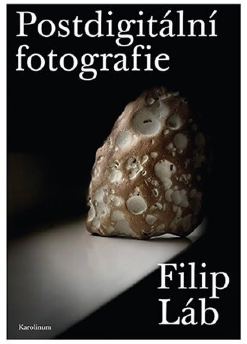 Kniha Postdigitální fotografie