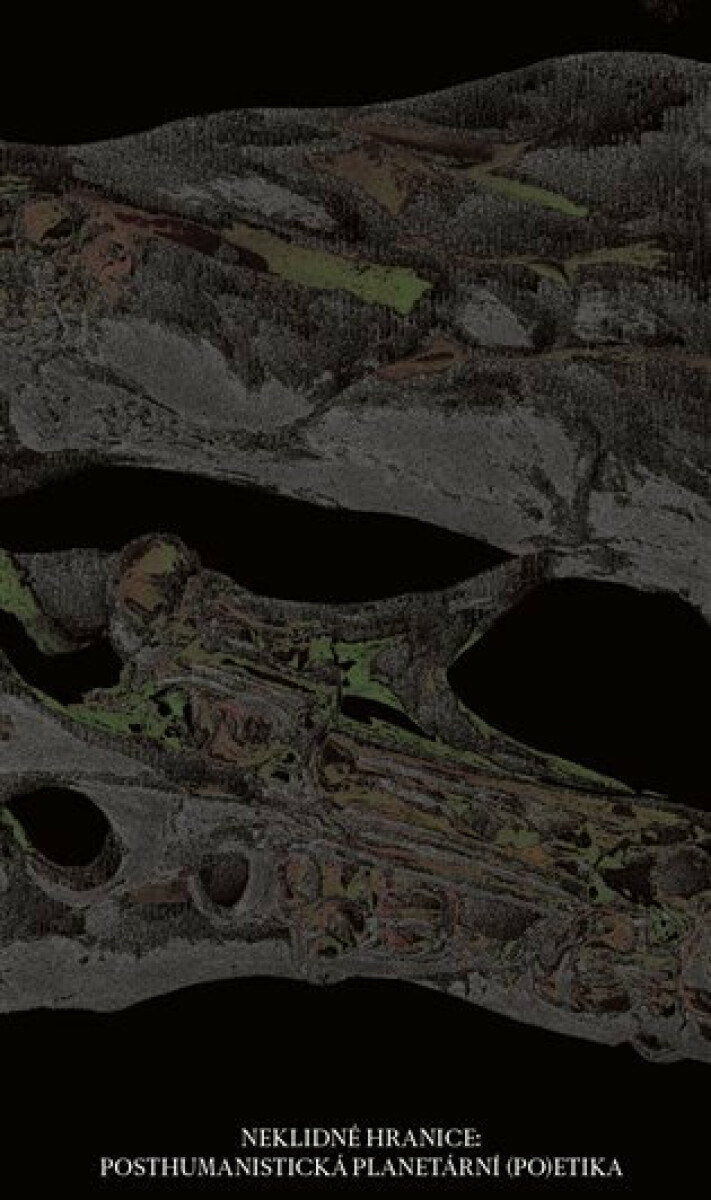 Kniha Posthumanistická planetární (po)etika