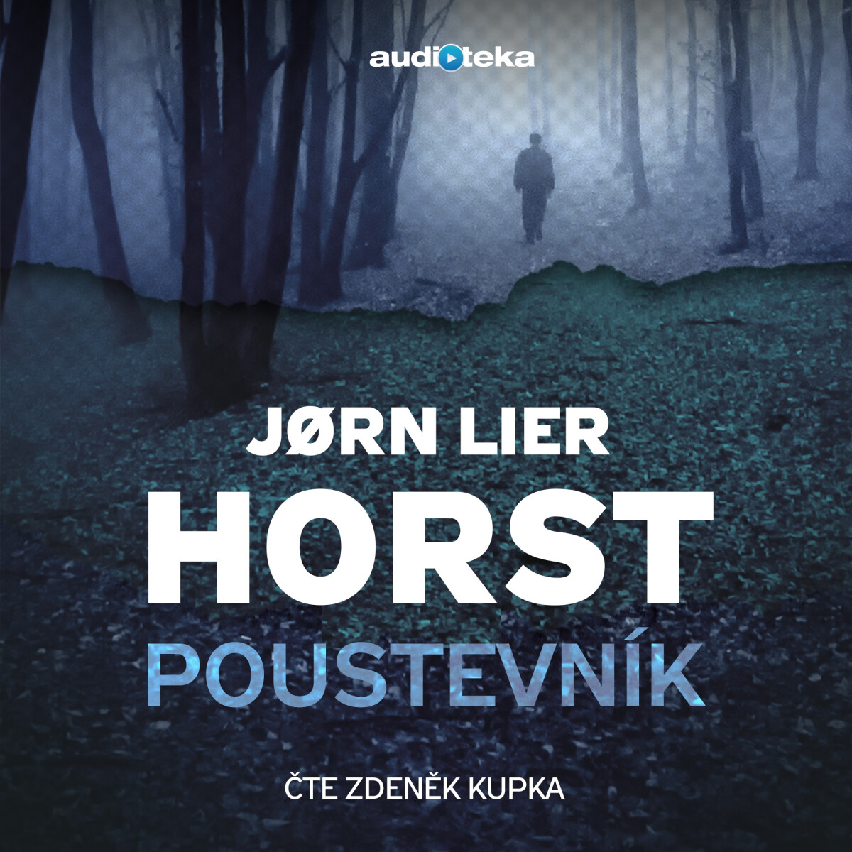 Levně Poustevník - Jørn Lier Horst - audiokniha