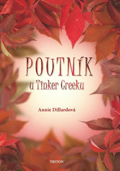 Kniha Poutník u Tinker Creeku