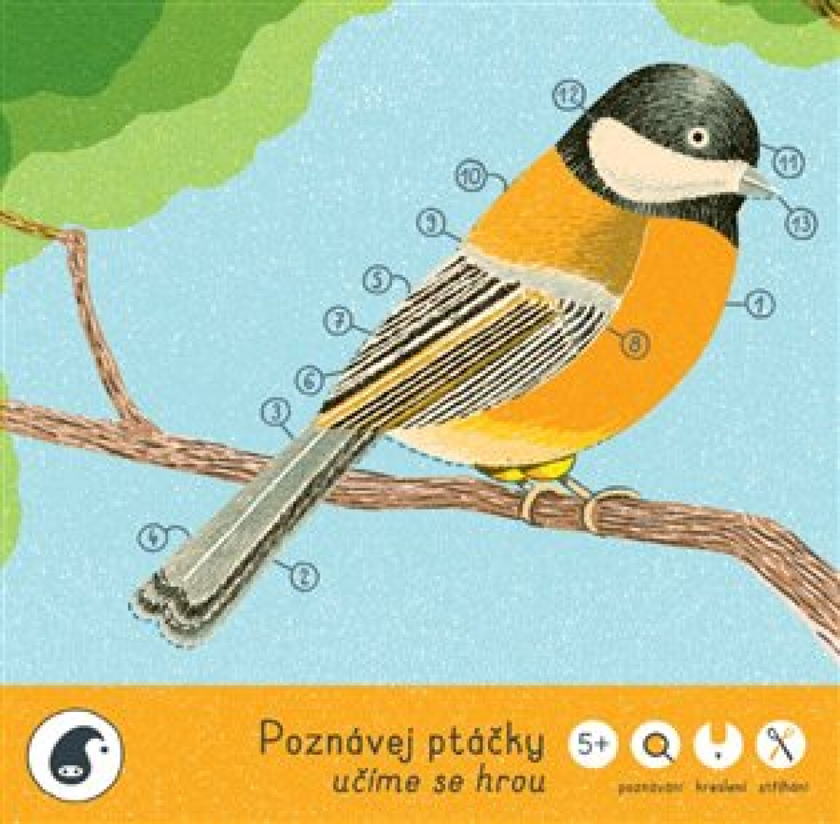 Kniha Poznávej ptáčky
