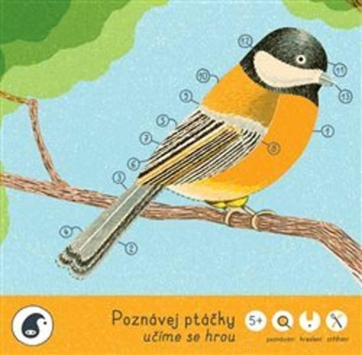 Kniha Poznávej ptáčky - učíme se hrou, 1. vydání