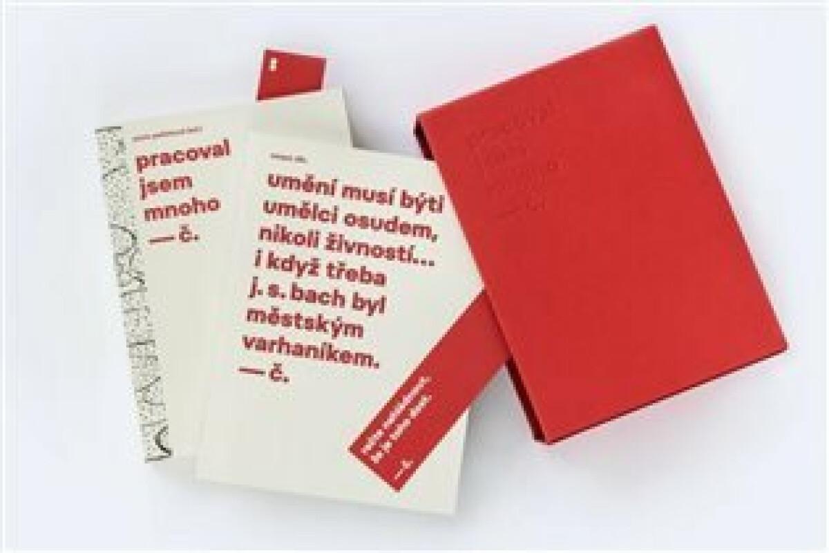 Kniha Pracoval jsem mnoho