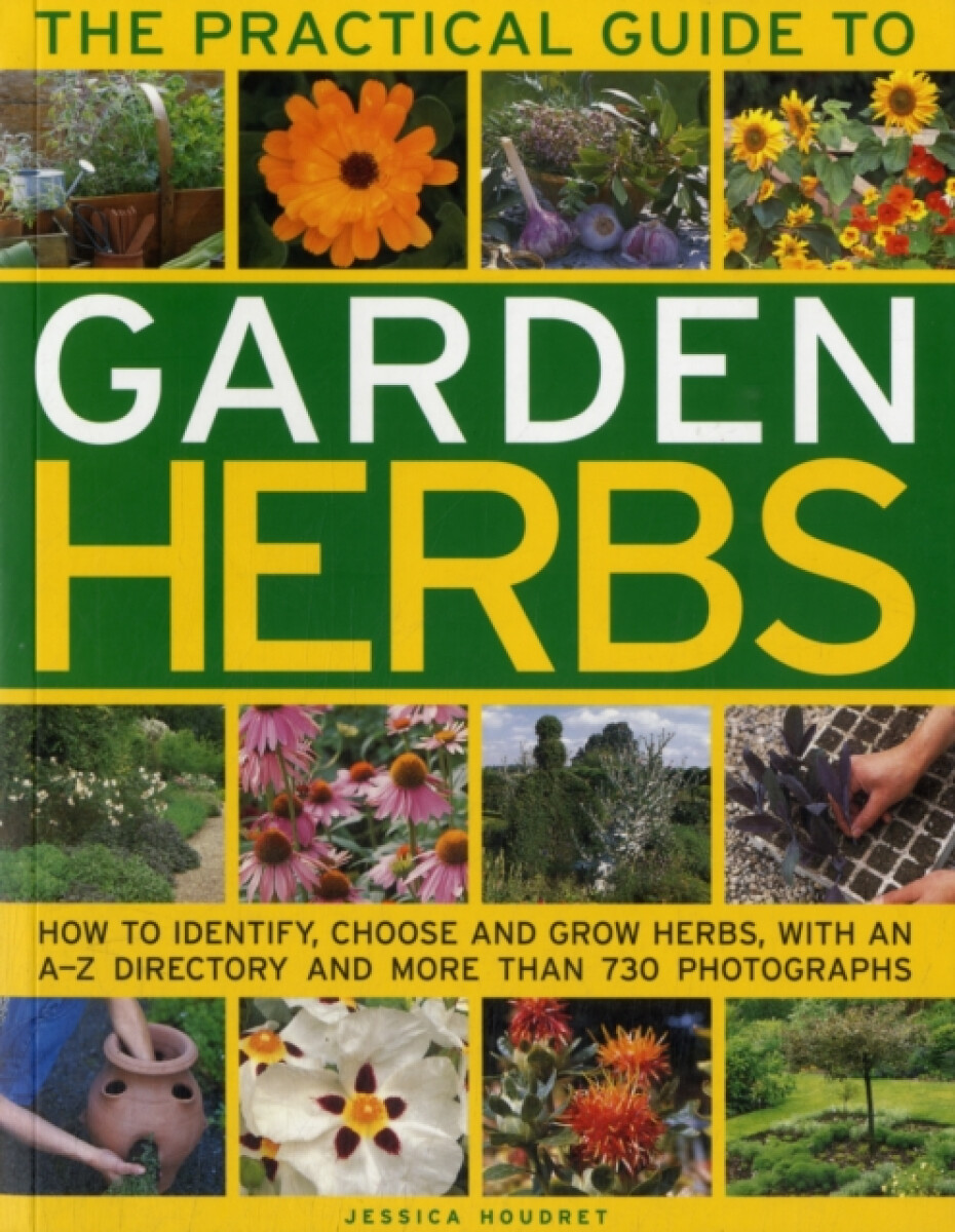 Kniha Practical Guide to Garden Herbs