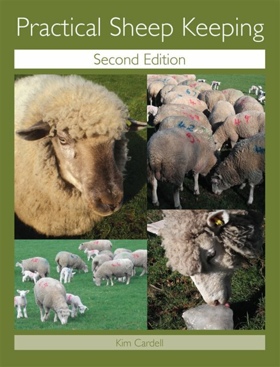 Kniha Practical Sheep Keeping