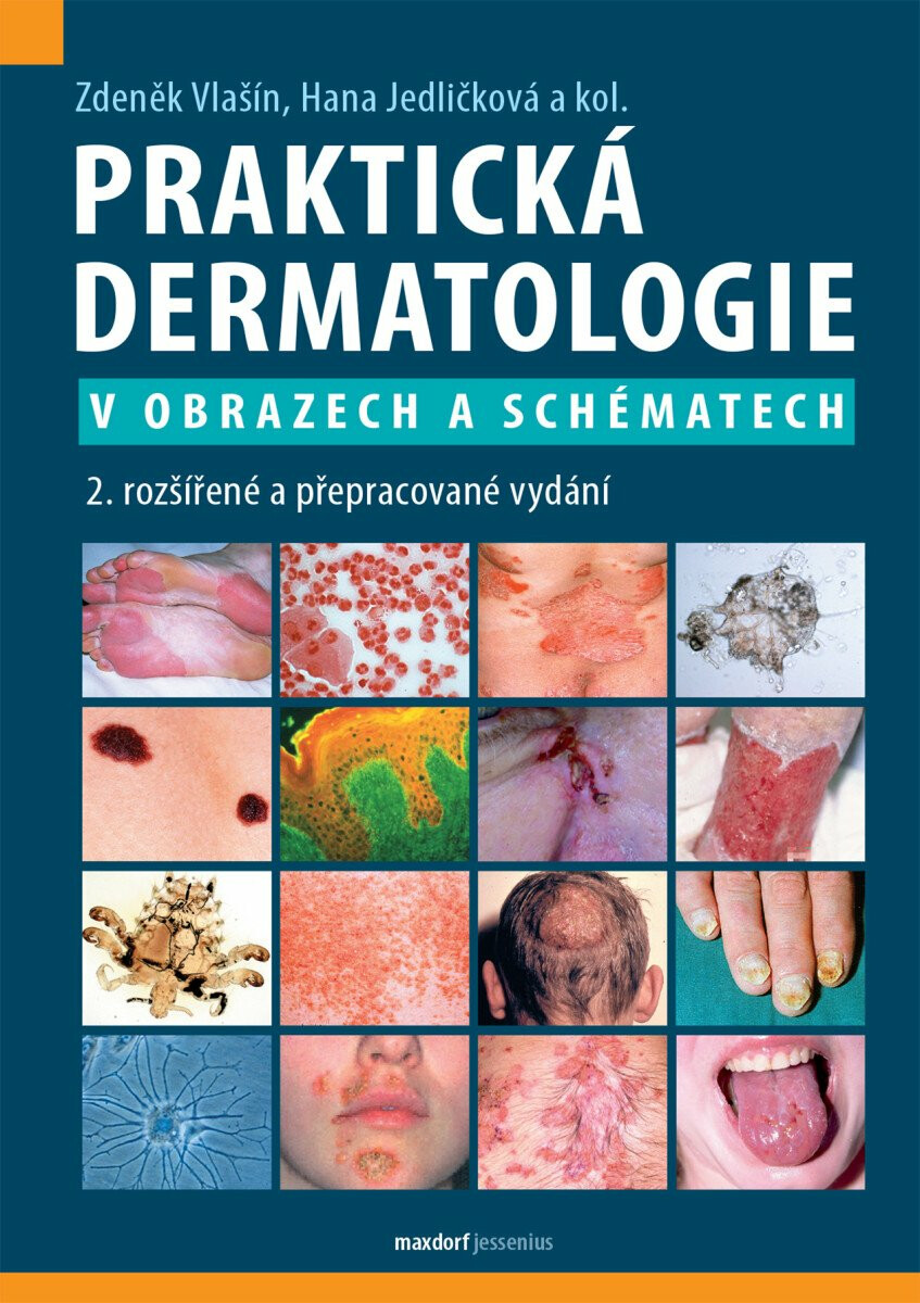 Kniha Praktická dermatologie v obrazech a schématech