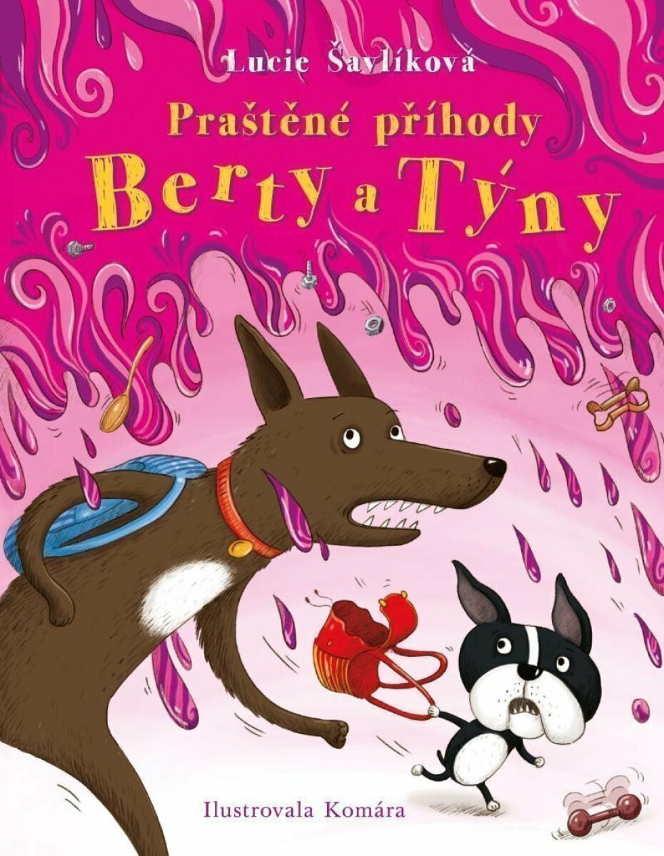 Kniha Praštěné příhody Berty a Týny