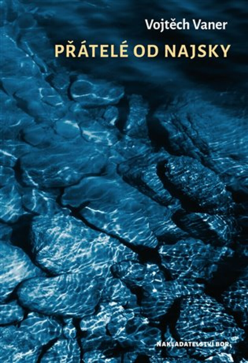 Kniha Přátelé do Najsky