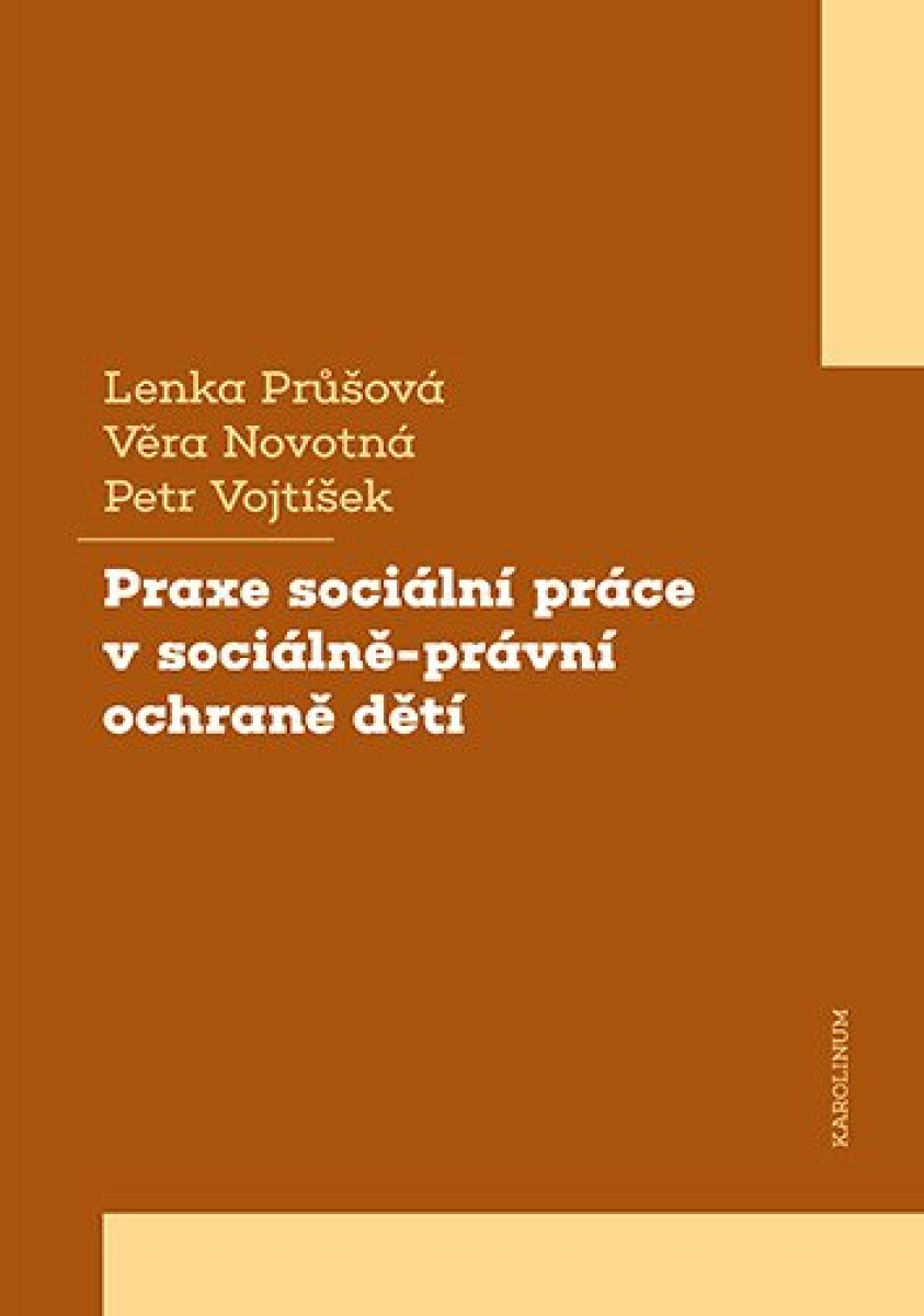 Kniha Praxe sociální práce v sociálně-právní ochraně dětí