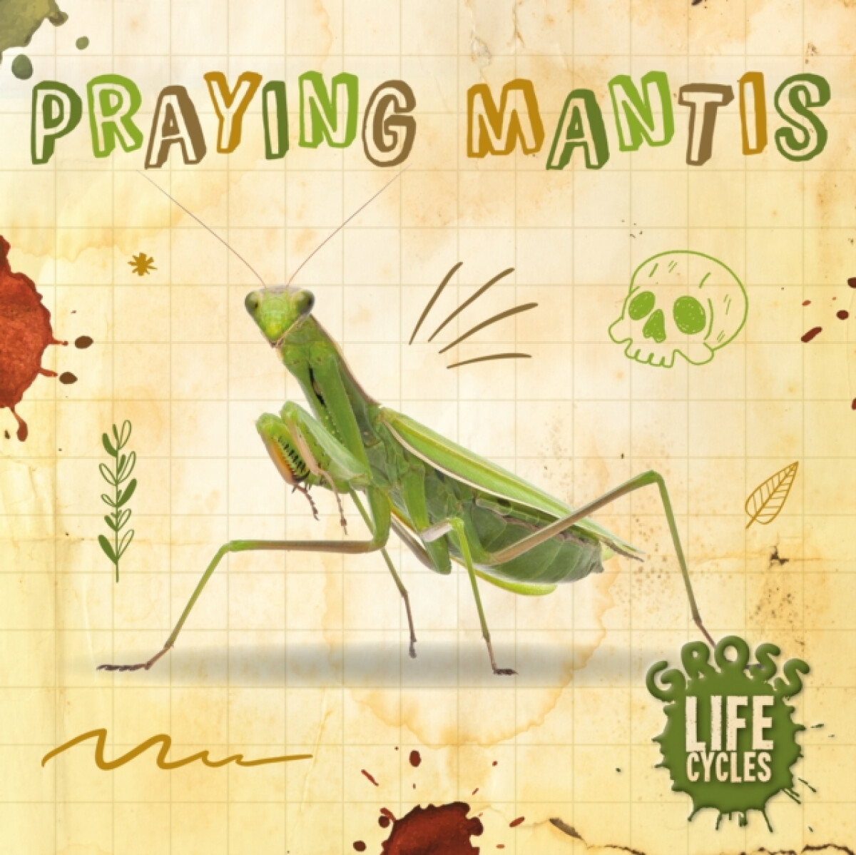 Kniha Praying Mantis