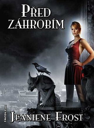 Kniha Před záhrobím