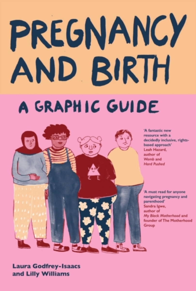 Kniha Pregnancy and Birth: A Graphic Guide