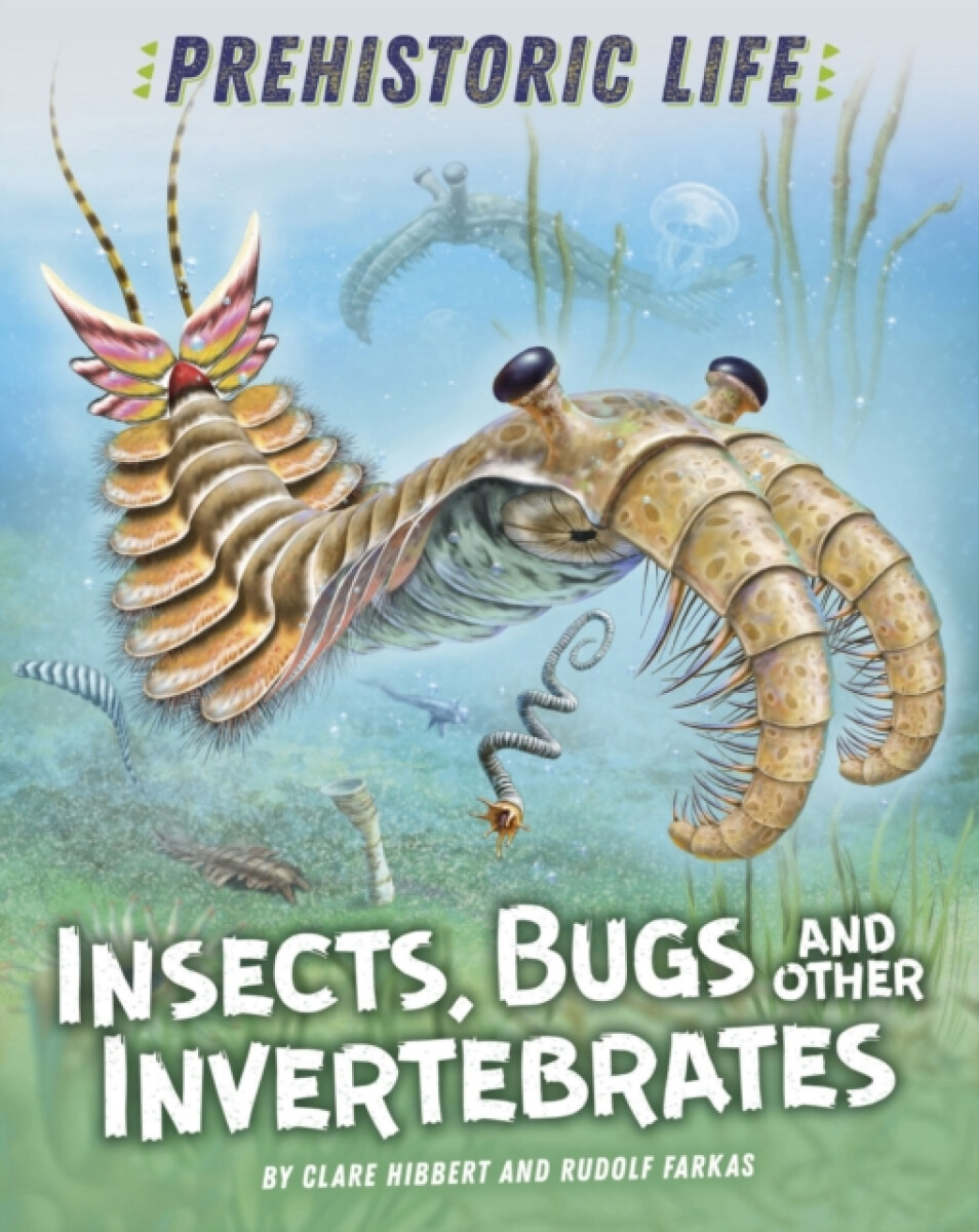 Prehistoric Life: Insects, Bugs and Other Invertebrates - Clare Hibbert