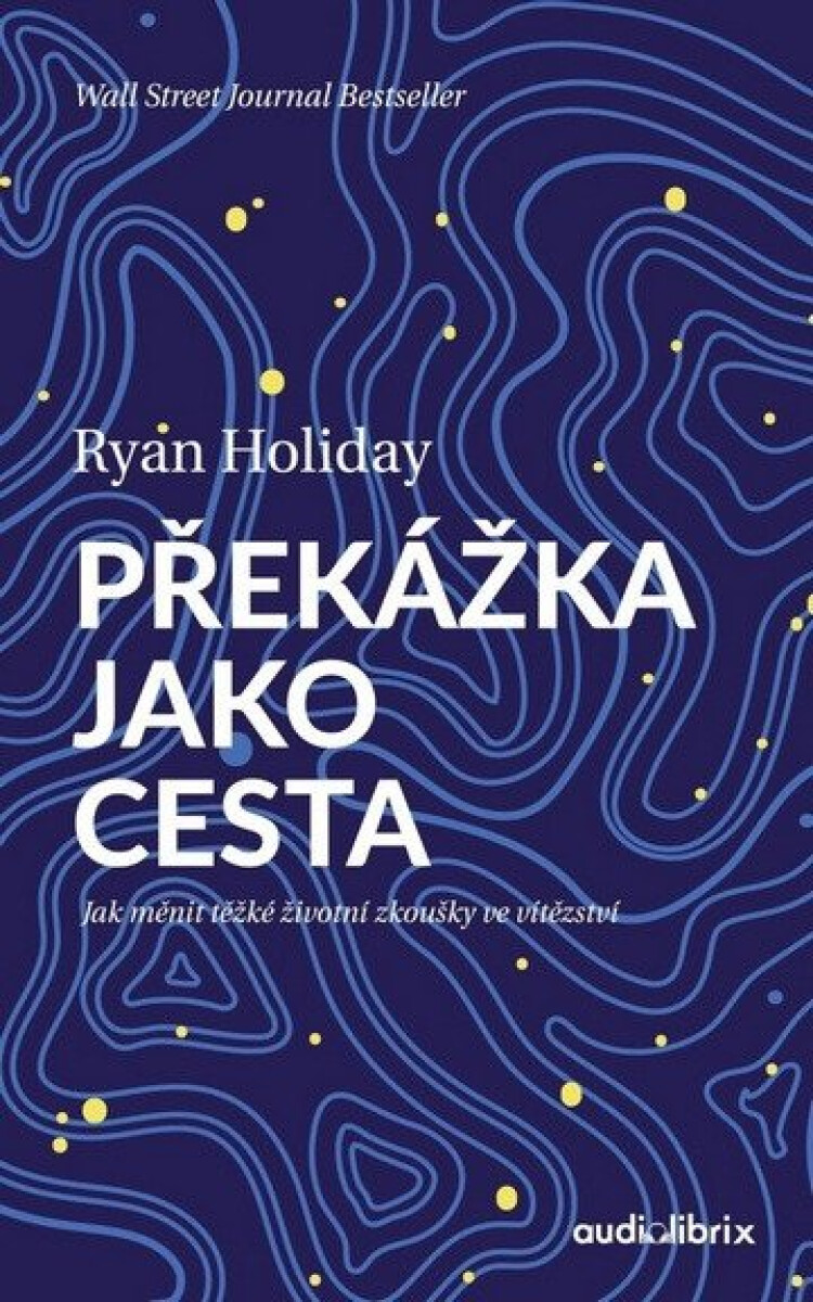 Kniha Překážka jako cesta - Jak měnit těžké životní zkoušky ve vítězství