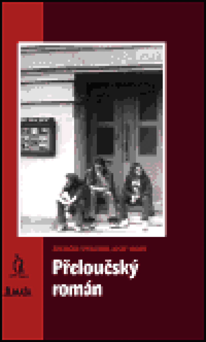 Kniha Přeloučský román