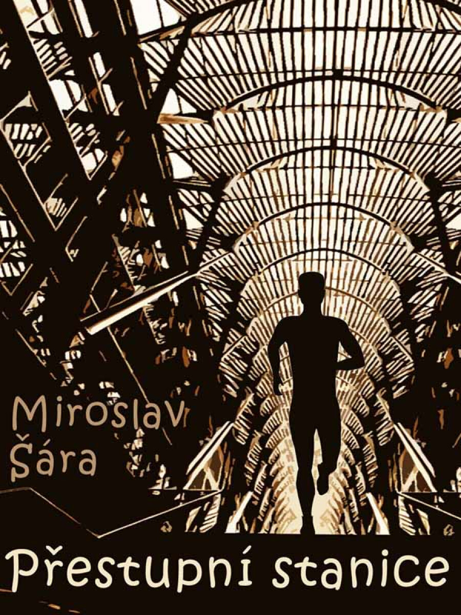 Přestupní stanice - Miroslav Šára