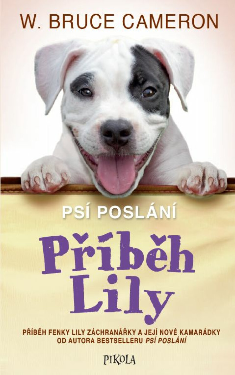 Příběh Lily - Bruce Cameron