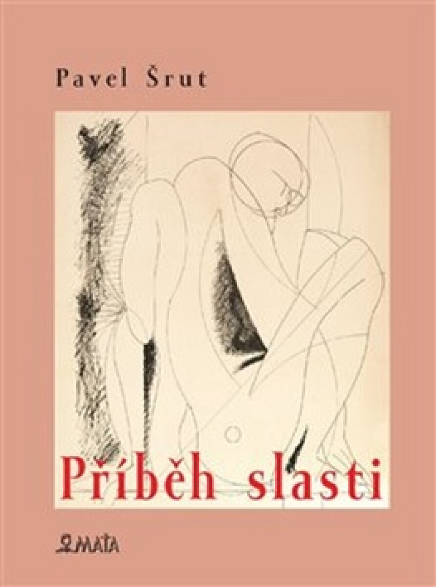 Kniha Příběh slasti
