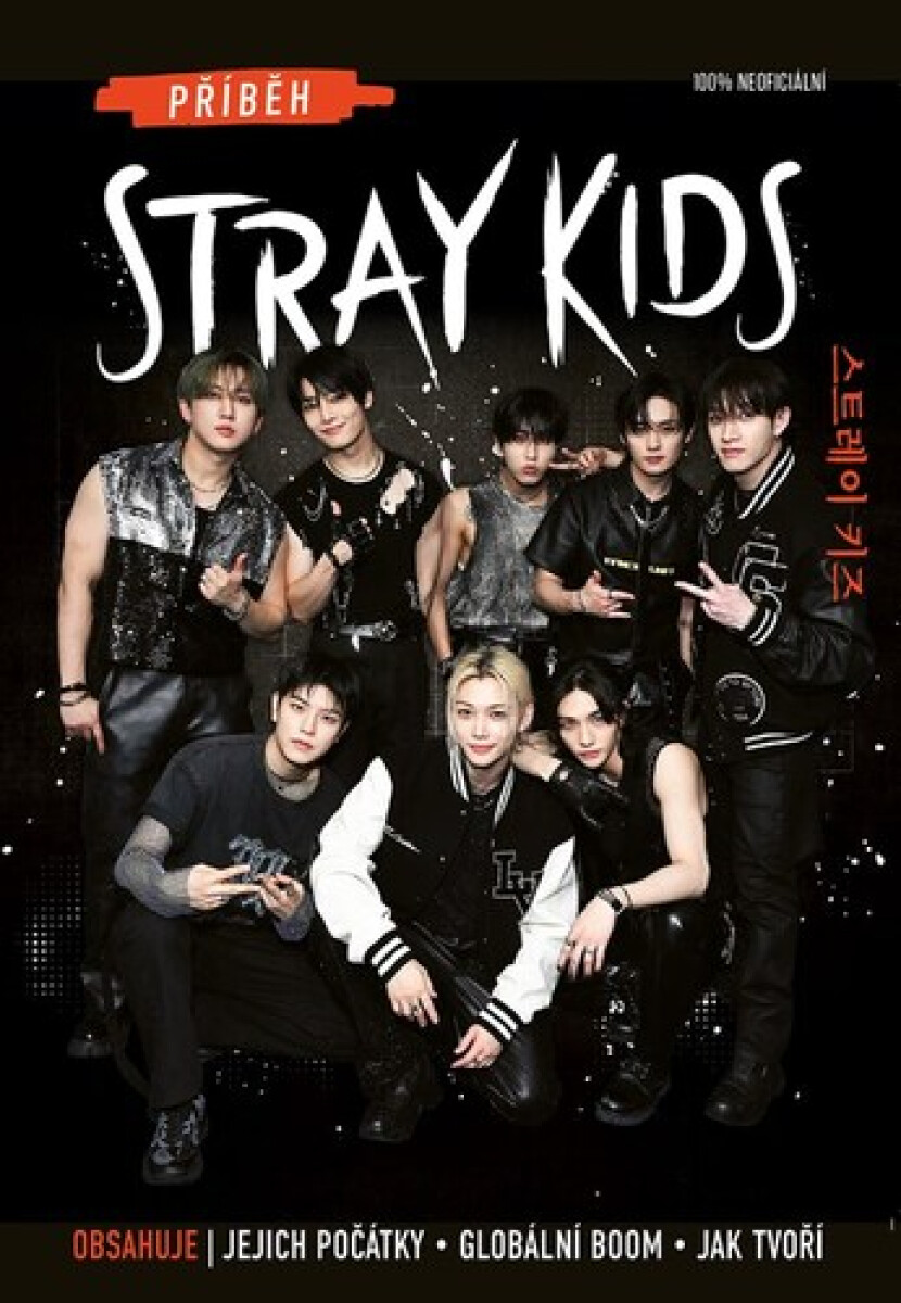 Kniha Příběh Stray Kids