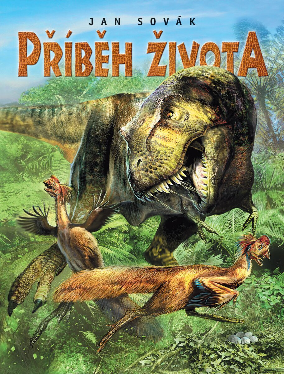 Kniha Příběh života