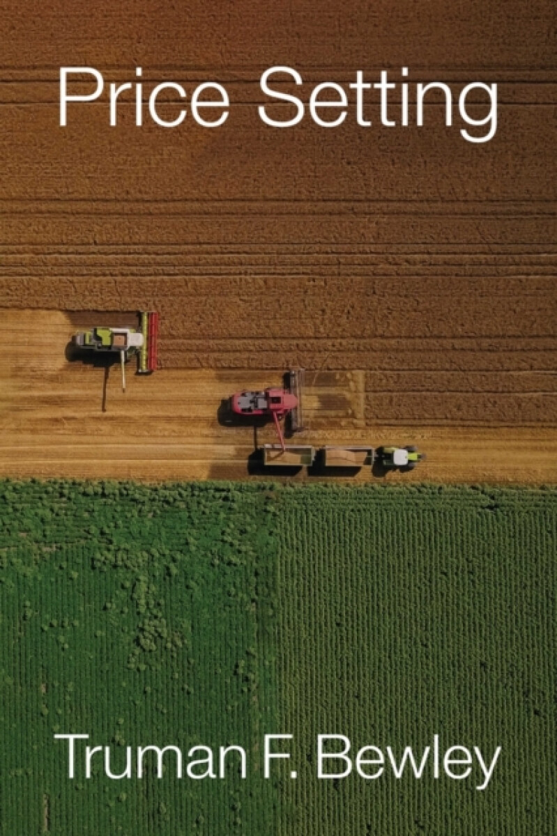 Kniha Price Setting