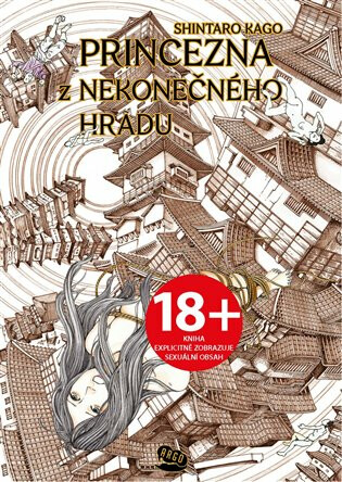 Kniha Princezna z Nekonečného hradu