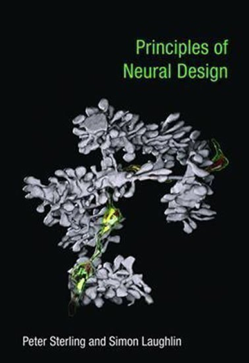 Kniha Principles of Neural Design