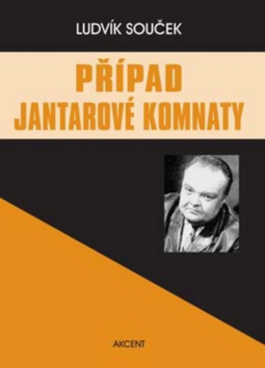 Kniha Případ Jantarové komnaty