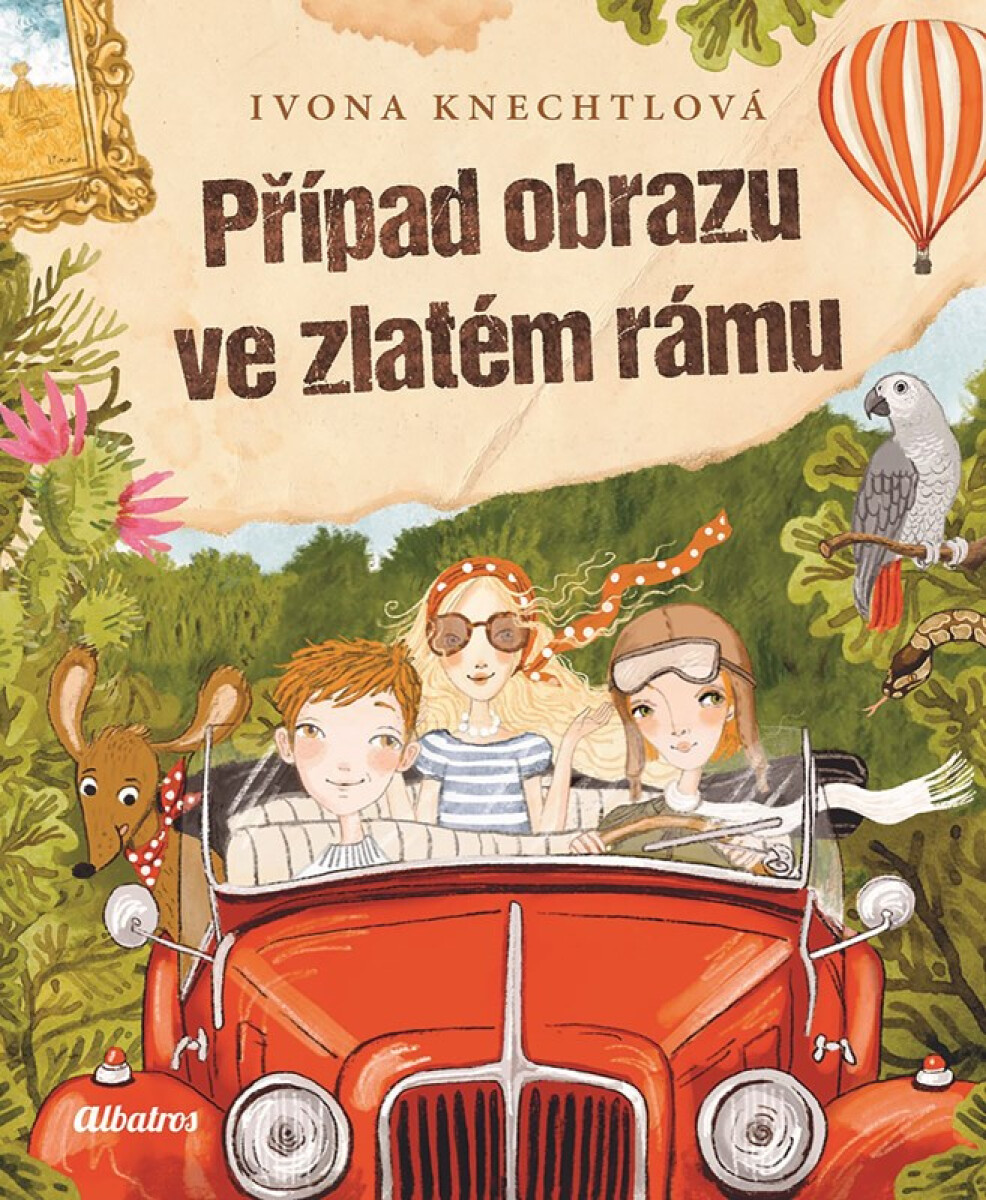Kniha Případ obrazu ve zlatém rámu