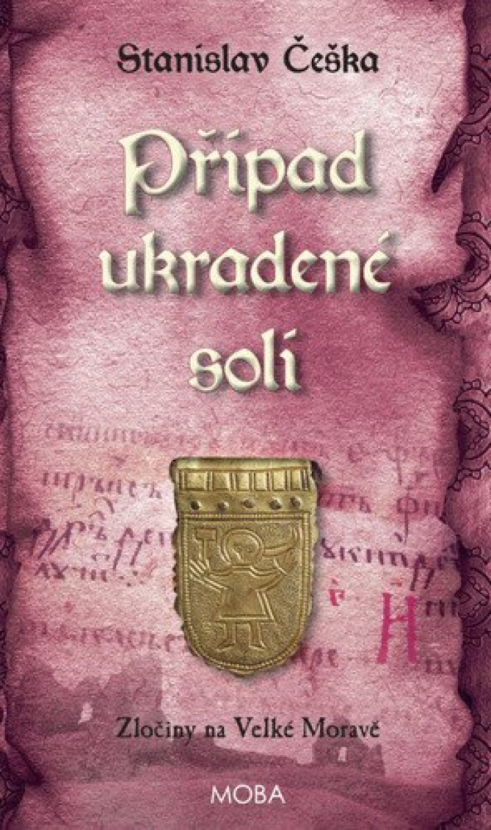 Kniha Případ ukradené soli