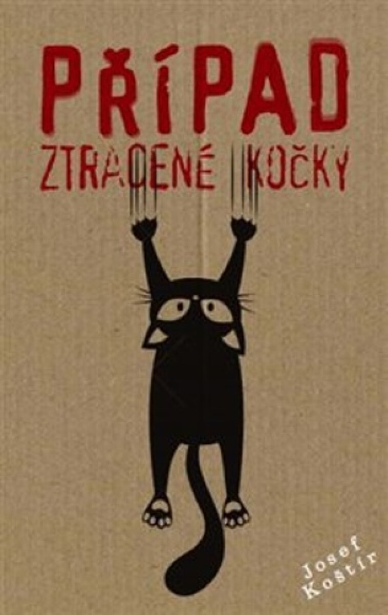 Kniha Případ ztracené kočky