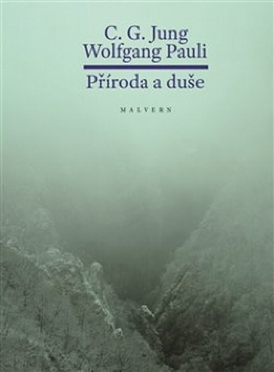 Kniha Příroda a duše