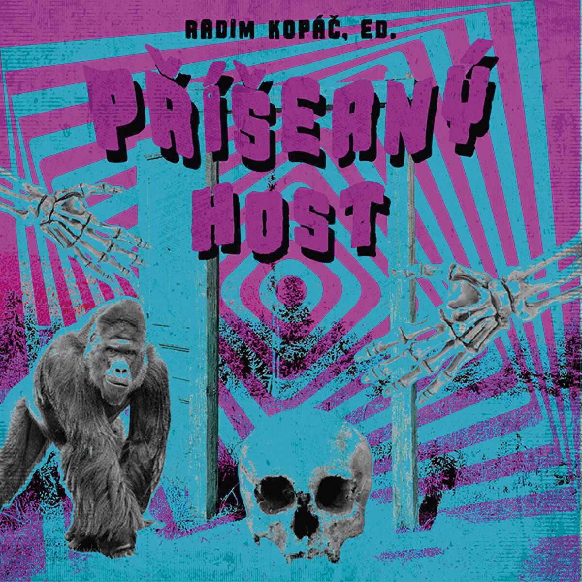 Levně Příšerný host - Radim Kopáč - audiokniha