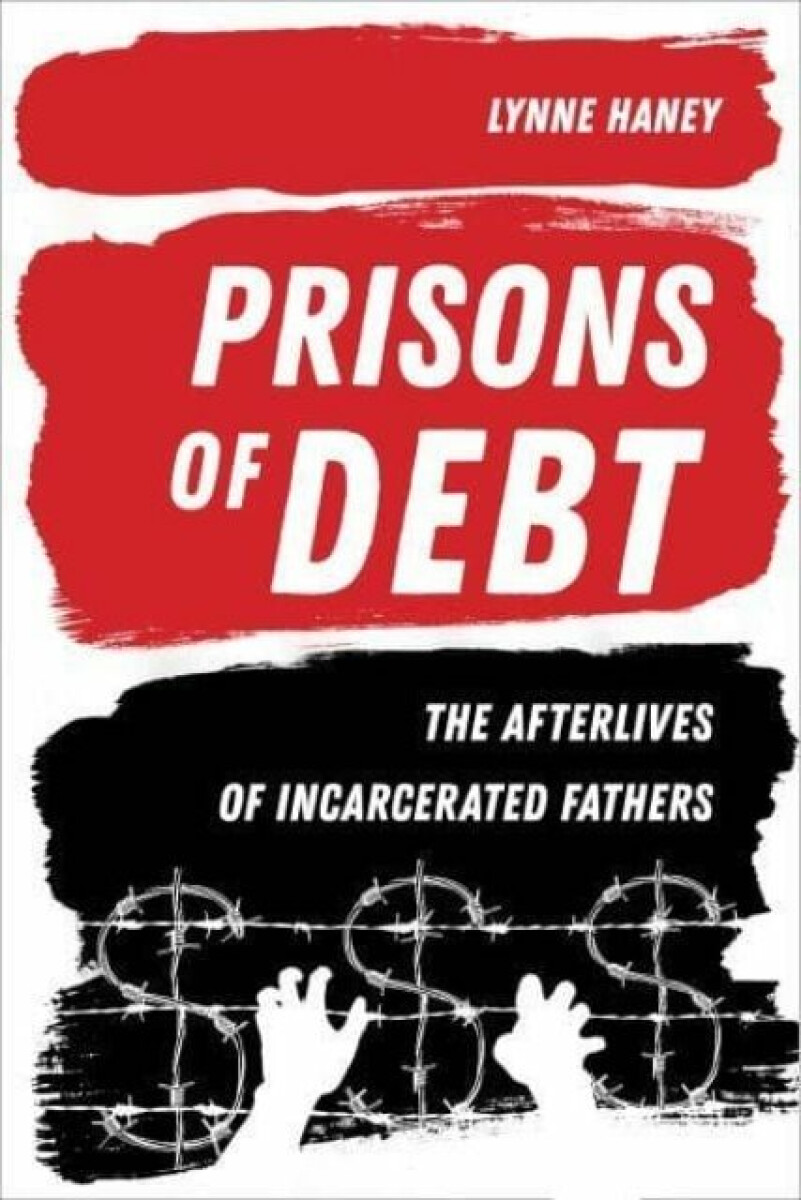 Kniha Prisons of Debt