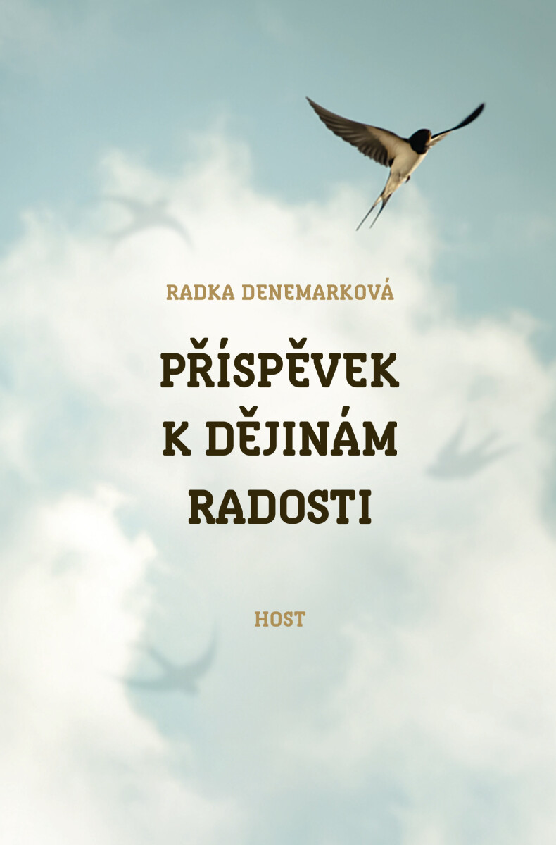 Příspěvek k dějinám radosti - Radka Denemarková