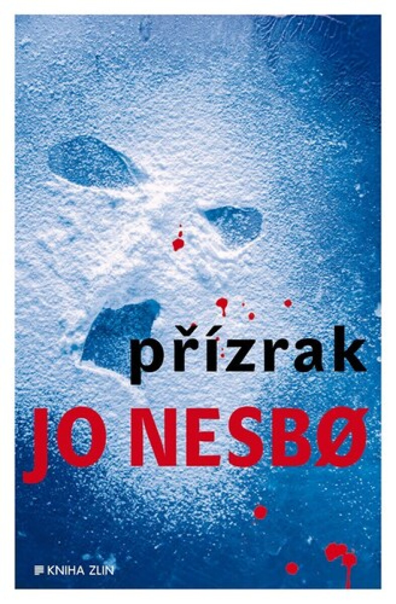 Kniha Přízrak