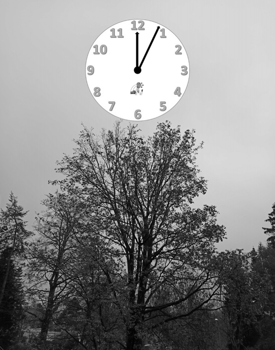 Probuzení - Ludvík Filip