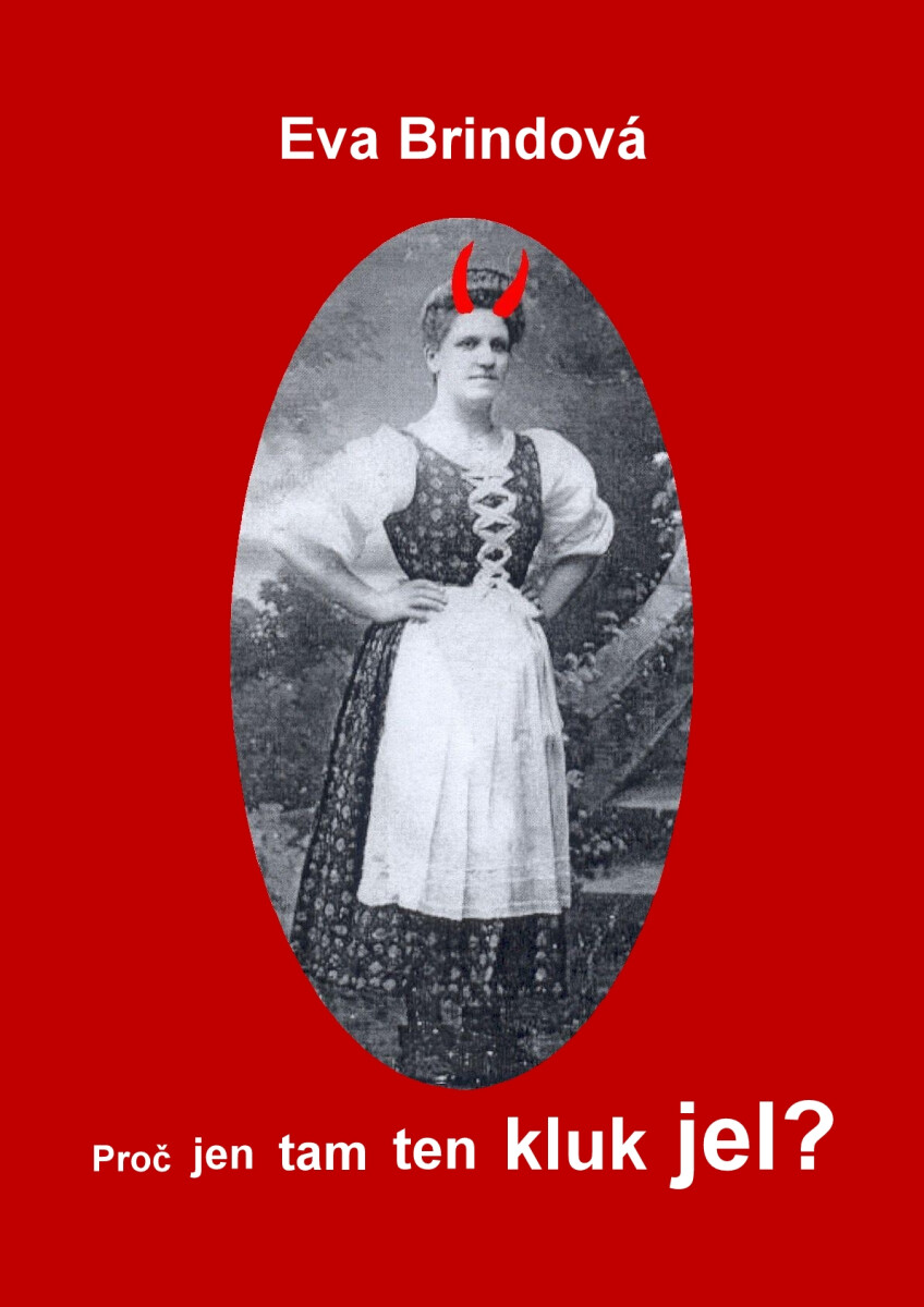 Proč jen tam ten kluk jel? - Eva Brindová