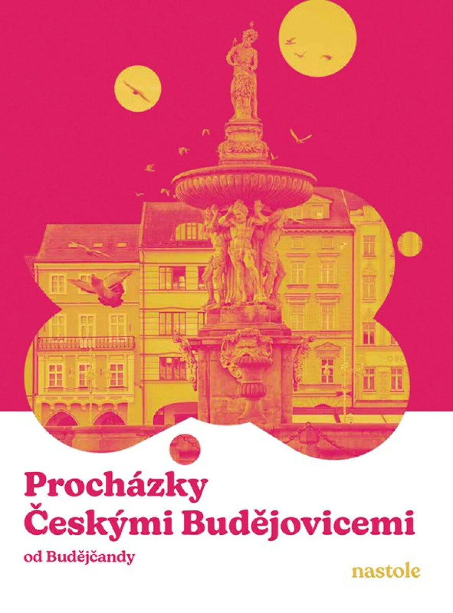Kniha Procházky Českými Budějovicemi