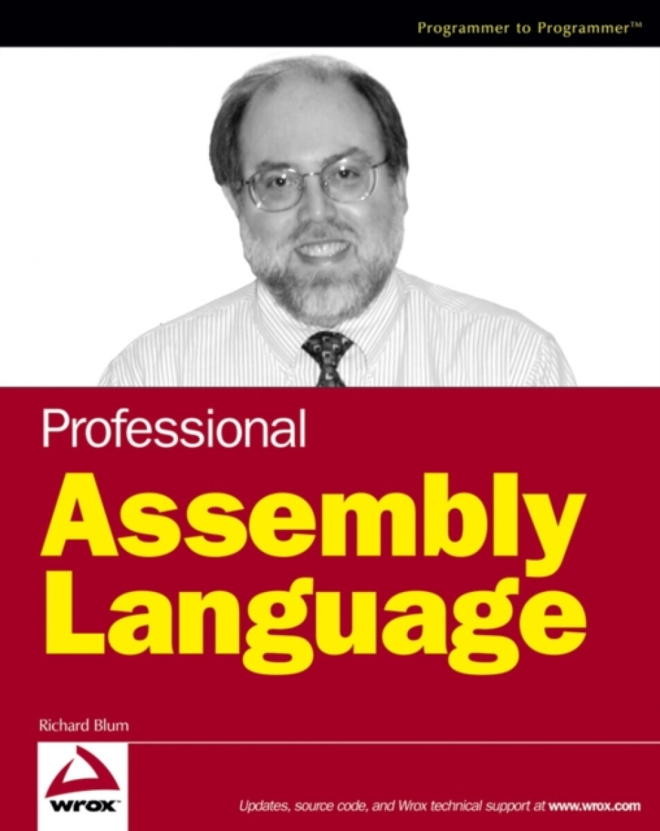 Kniha Professional Assembly Language